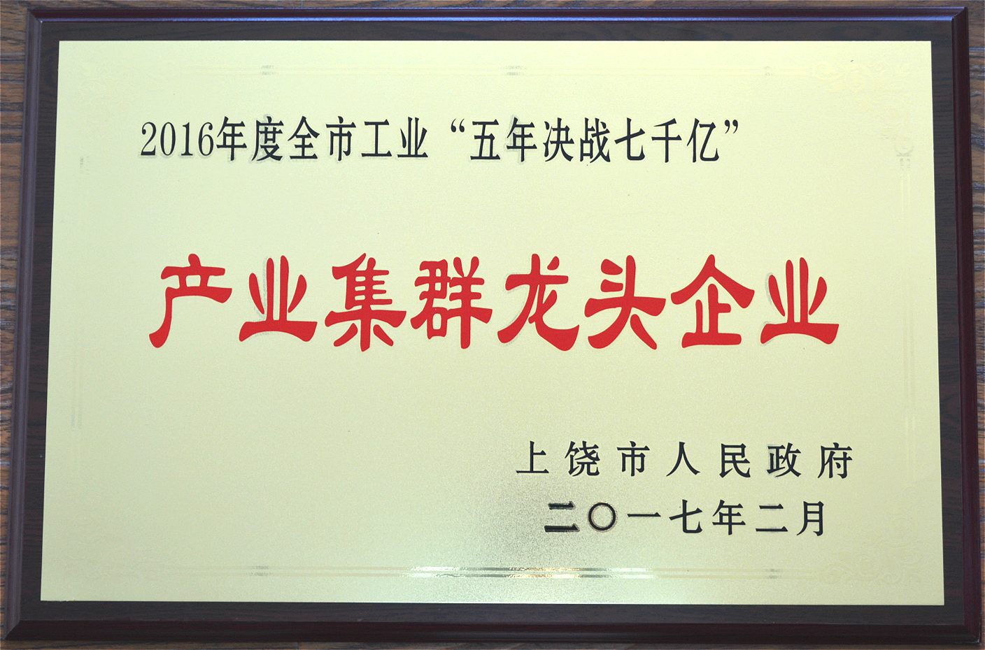 2016年度全市工業“五年決戰七千億”産業集群龍頭企業