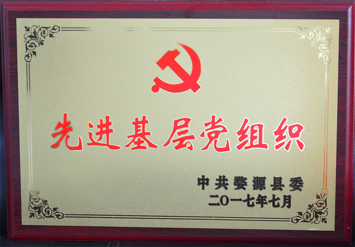 2017.07 婺源縣先進基層黨組織